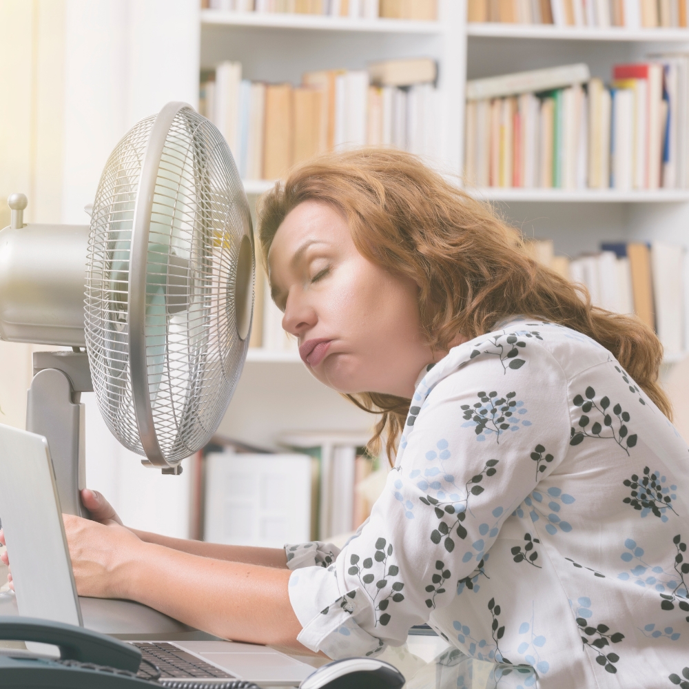 Wertvolle Hilfe aus der Natur bei Wechseljahrsbeschwerden